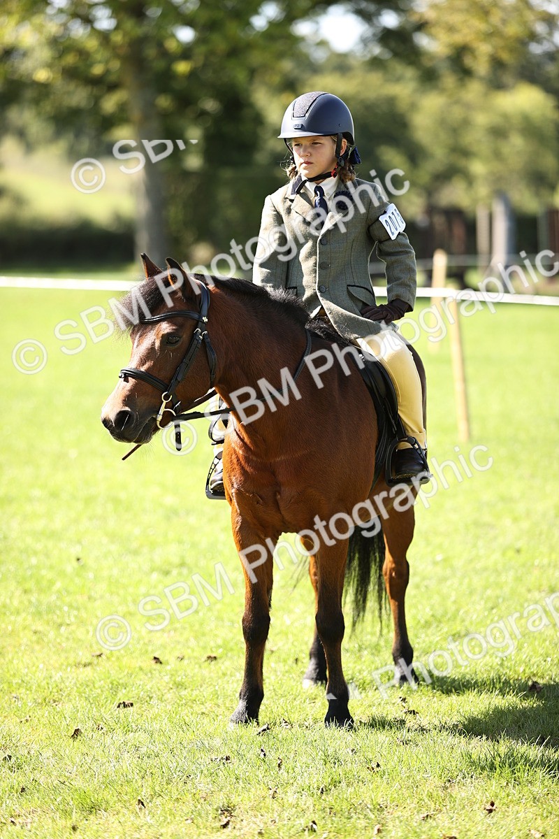 SBM_19353 - S3 - TSR Ridden Pony Showing