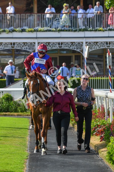 160623-Race 7-Diamond Bay-0788 - Race 7 5.21pm Constant Security Handicap