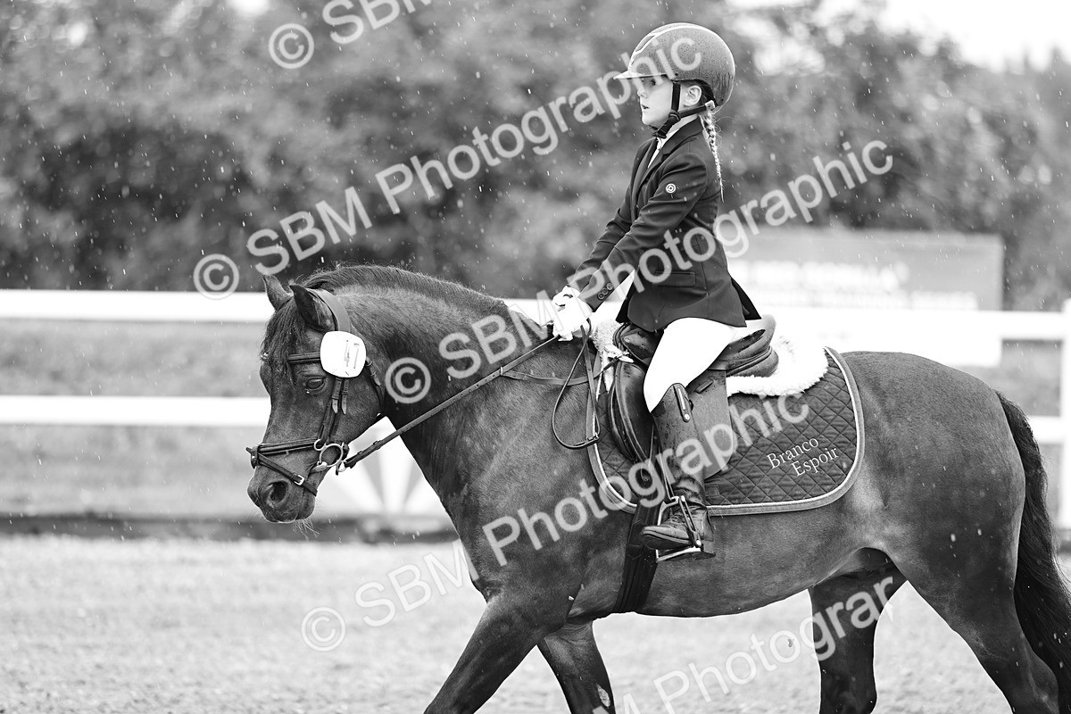 SBM_000079 - Class 1 - 40cm