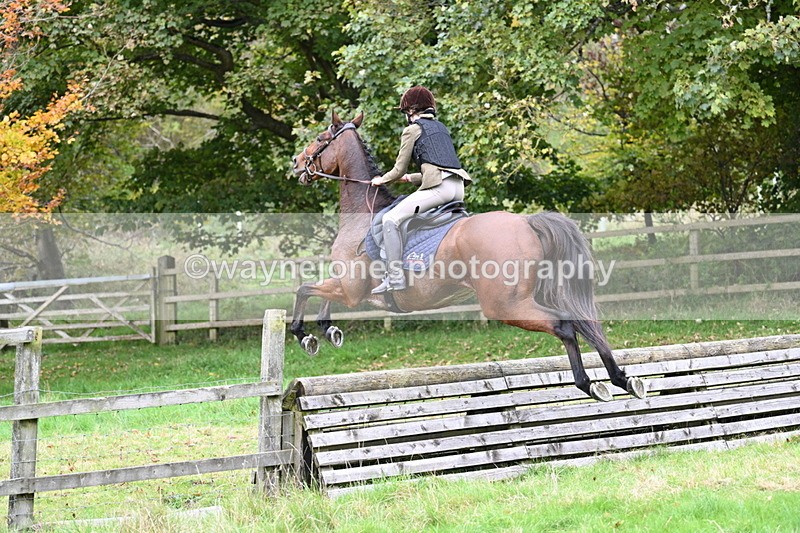 WJ7_4784 - Camera 1 Line 3