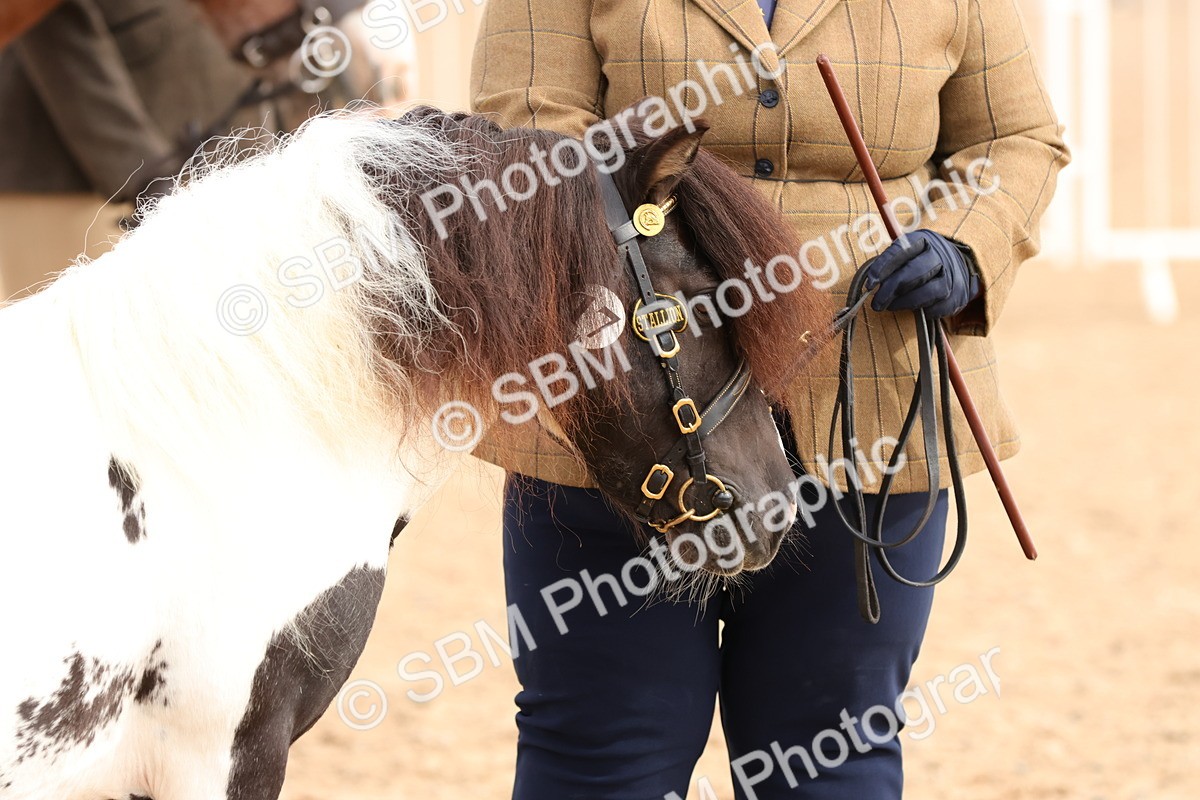 SBM_10333 - Class 206 - IH Non Show Type Pony