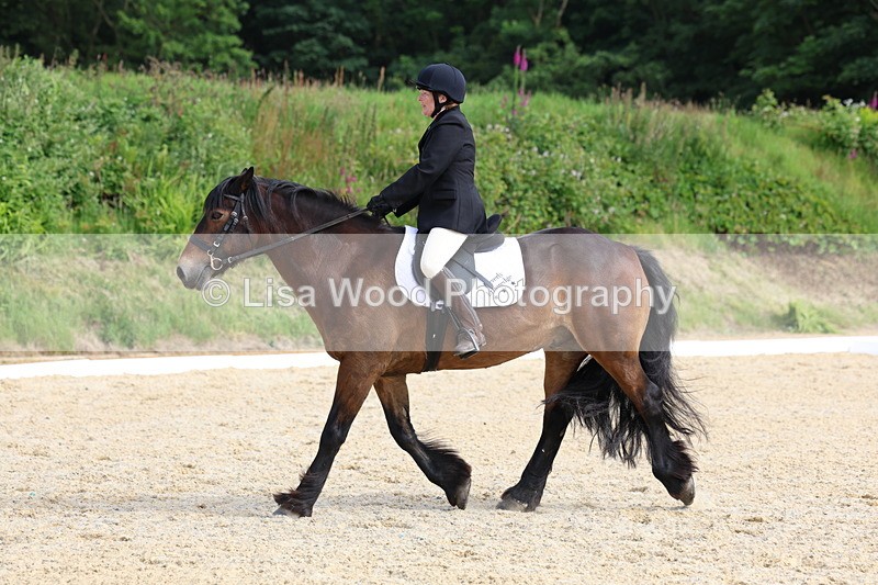 3E7A1418 - Class 2: Intro 2 2024 Section B