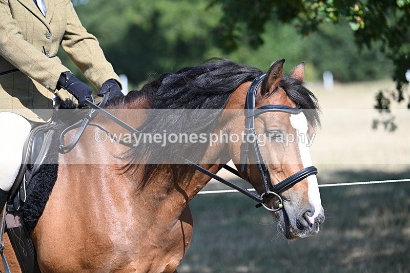 WJ7_3531 - Class 9 Mountain & Moorland Ridden