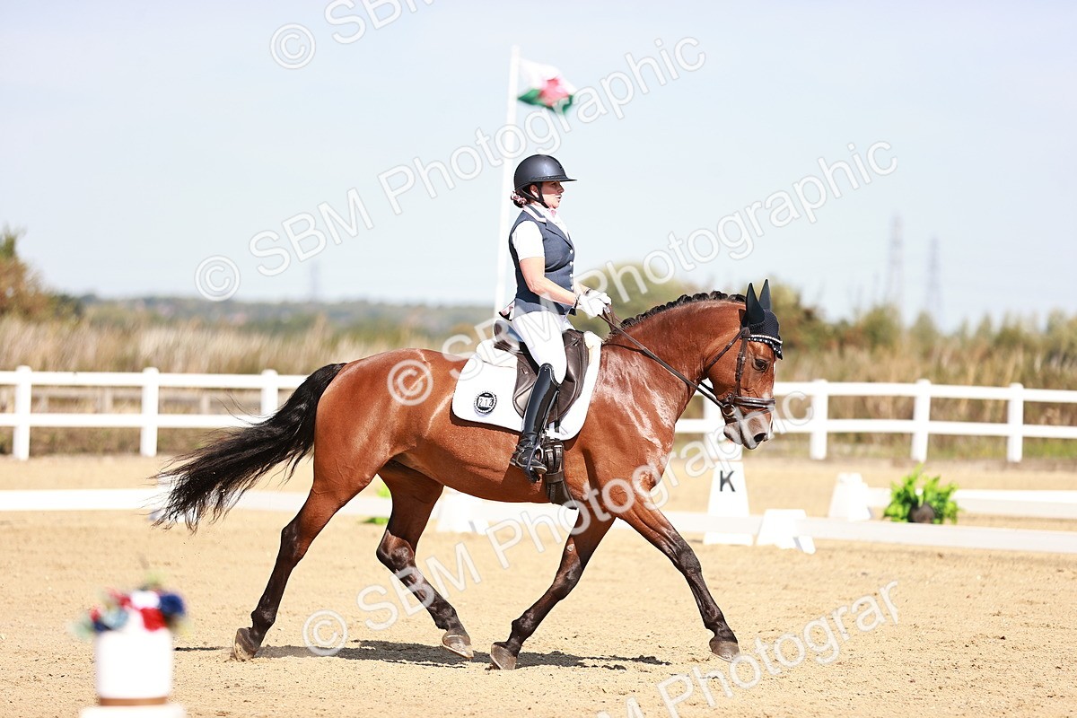 SBM_004419 - Class 12 - Novice 5 - 10.31-11.41