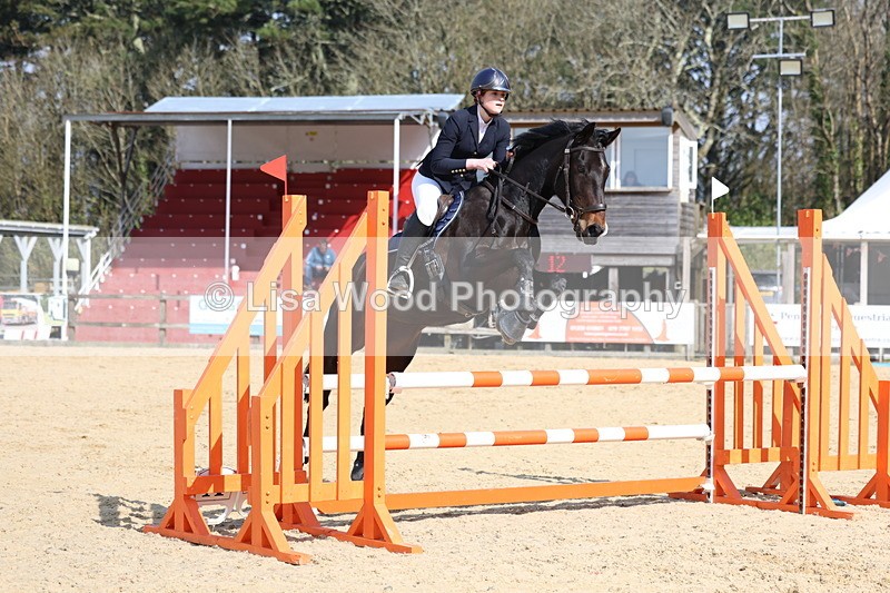 3E7A6483 - Class 4: Senior British Novice/90cm open