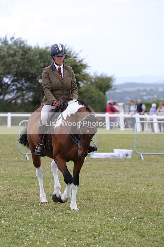 1X9A4473 - Class 34: Veteran Ridden