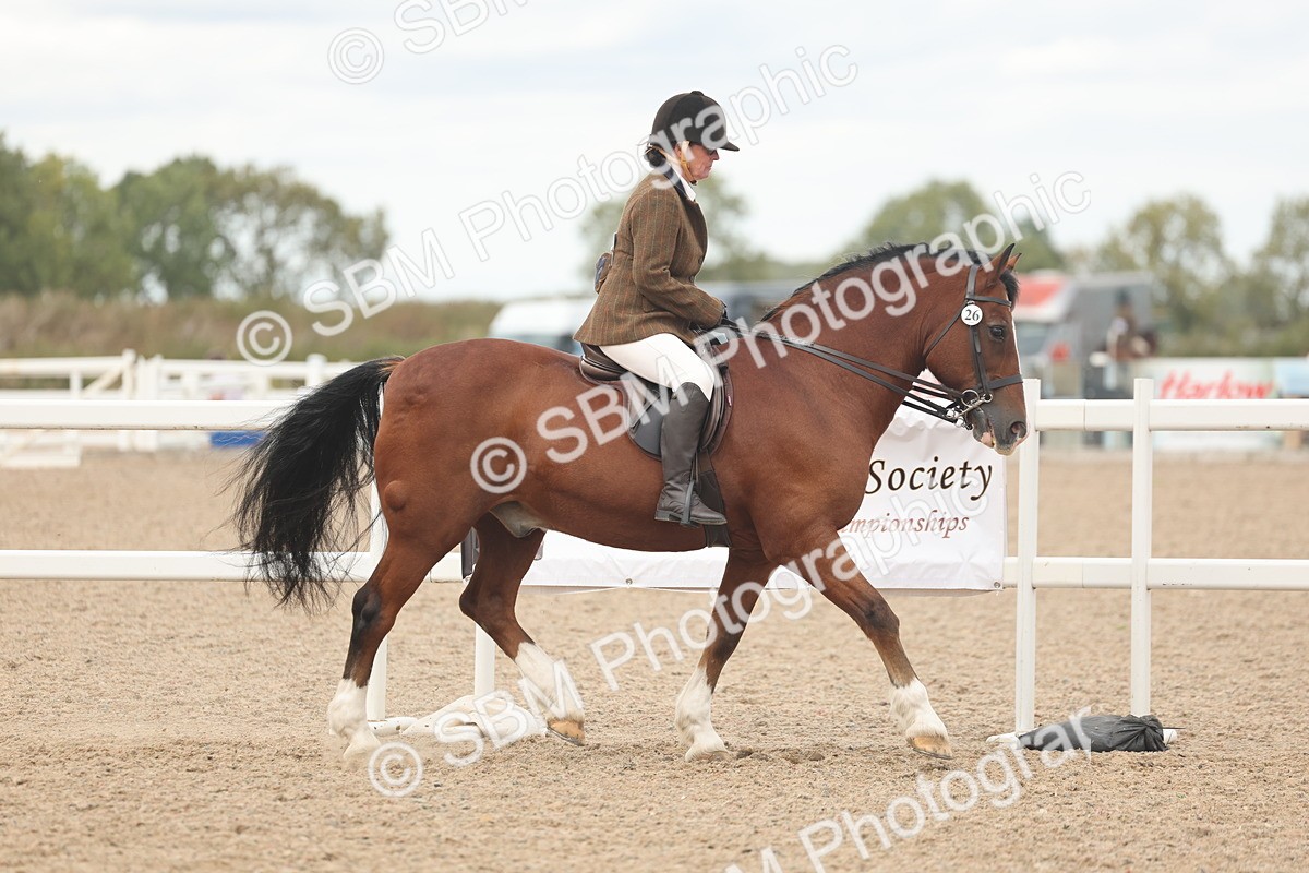 SBM_18155 - Class 315 - Best Horse-Rider Combination