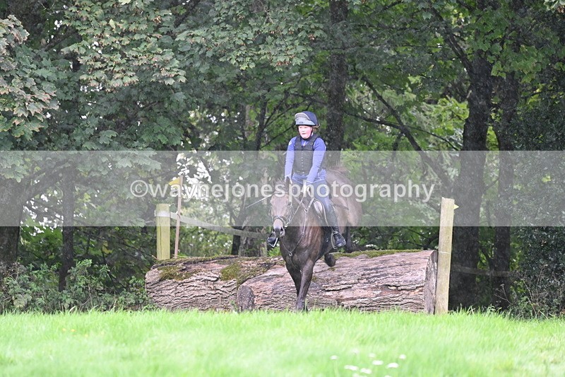 WJ6_1925 - Time 13:31 to 14:00