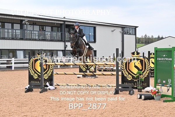 BPP_2877 - CLASS 10 - SAT - Senior Foxhunter/1.20m Open