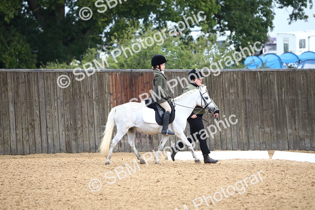 SBM_34533 - D26 - Starters Lead Rein