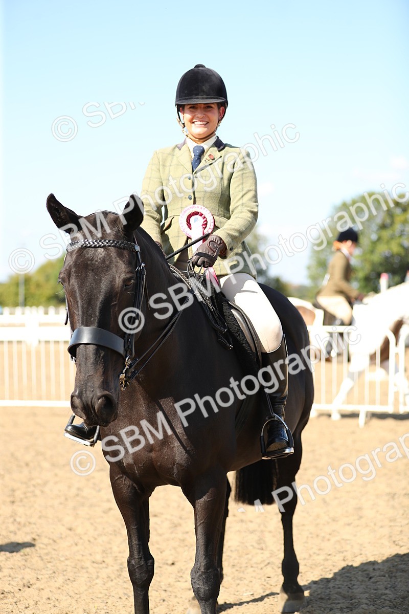 SBM_02392 - Class 43 Ridden Competition Horse/Pony