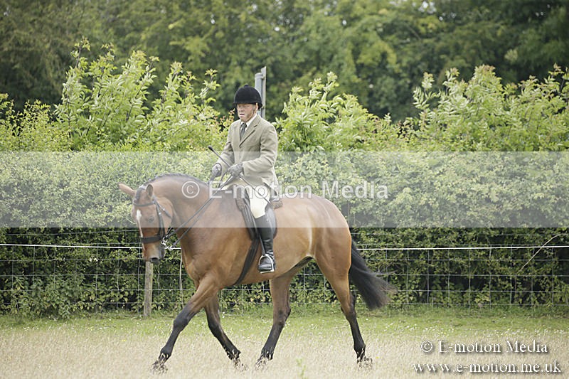B230619-0717 - Bourne Valley Riding Club Summer Show 23/06/19