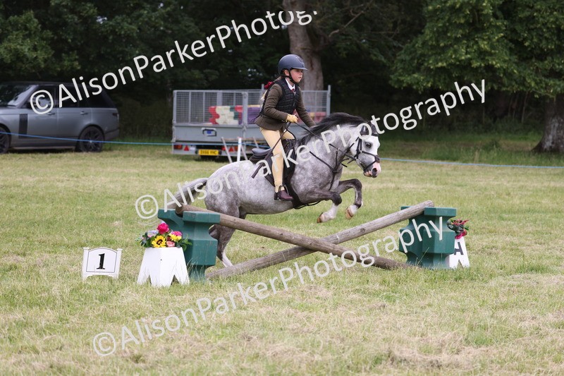 20260614-3110 - Class 22 - Open Working Hunter