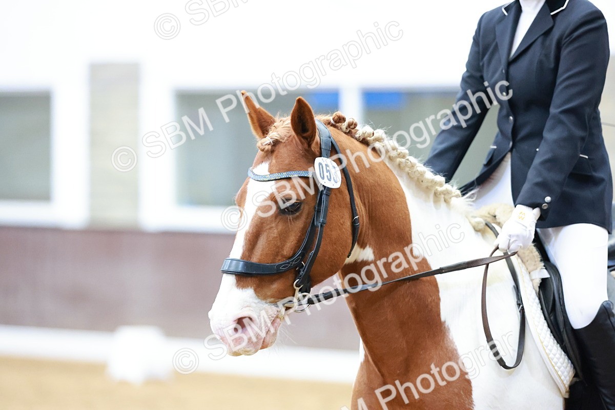 SBM_006636 - Class 6-8 - MQ Open P1-P2