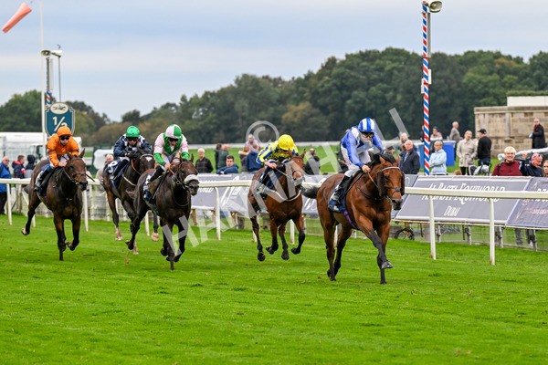 101025-Race 3-Mukhtalif-0207 - Race 3 William Hill Each Way Extra Handicap at York