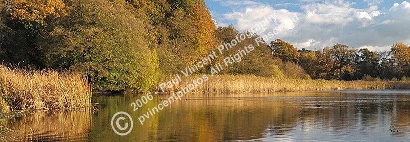 Burton Mill Pond - Sussex Downs