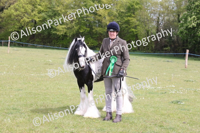 20260426-3384 - Class 27 - Coloured Horses and Ponies