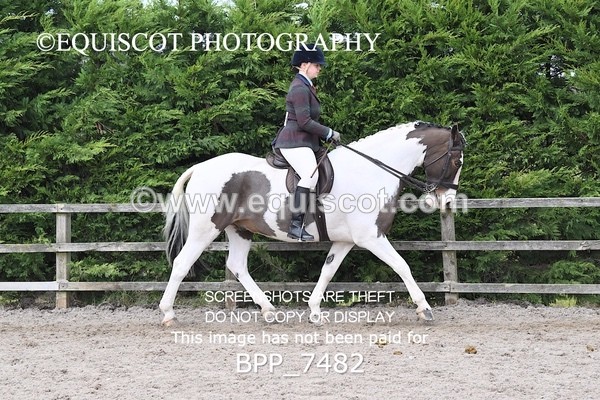 BPP_7482 - RING 1  (RIDDEN HORSES / IN HAND / VETERAN ETC)