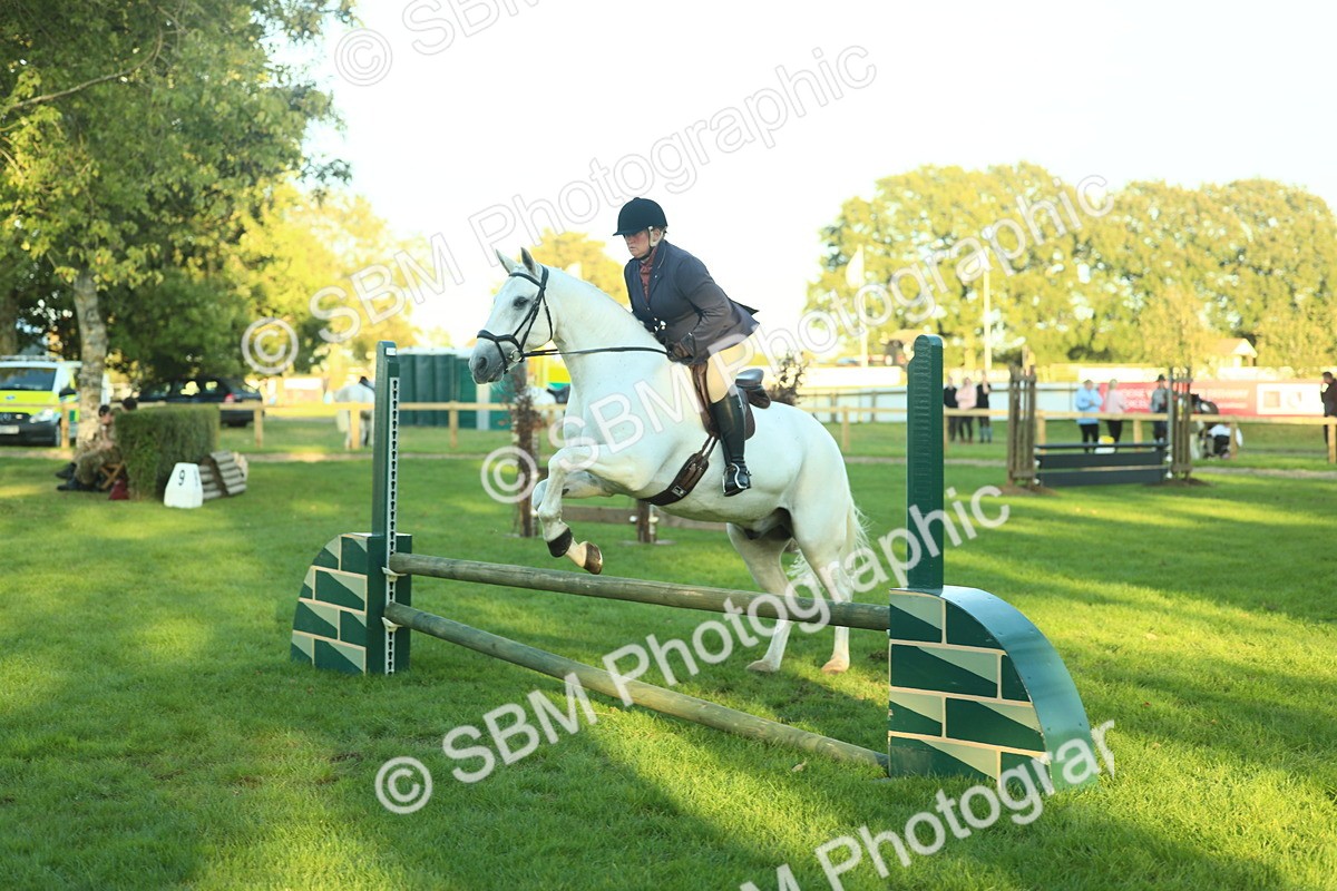 SBM_56432 - S14 - Riding Club Horse