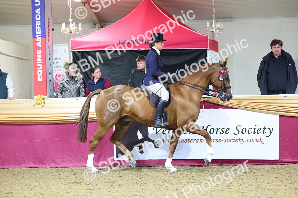 0B8A4493 - Class O Ridden Show Horse Champ