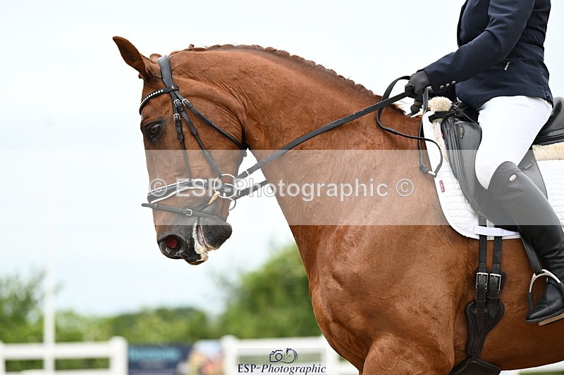 240623A-162628-20134 - Cls 54 BD Medium 73