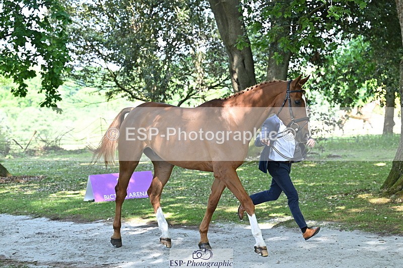 250521A-154234-00706 - B-354-Oliver.Thompson-LAGANS.RICE.STAR