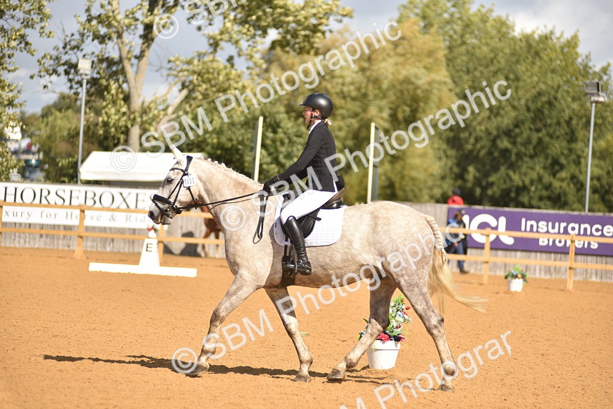 SBM_03082 - D4 - Small Tour Championship Intro 4