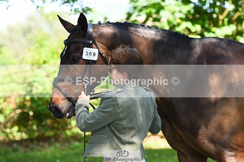230524-154620-00492 - 369-GIDO_G-Sally_Chamberlain-WEDTrotUp+DR