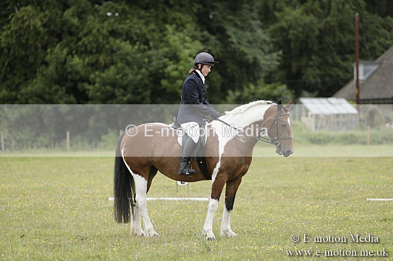 BVR160717-691 - Class 1 & 23a Dressage 16/07/17