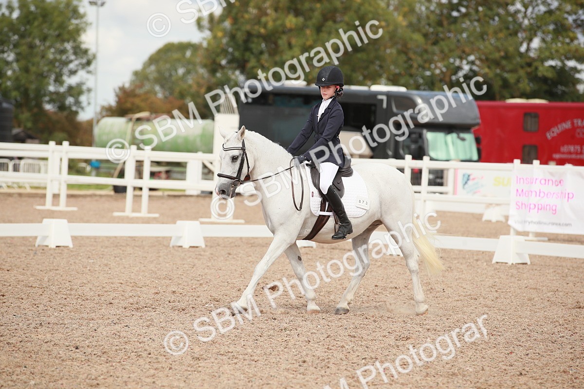 SBM_03964 - Class 31 - Prelim 1