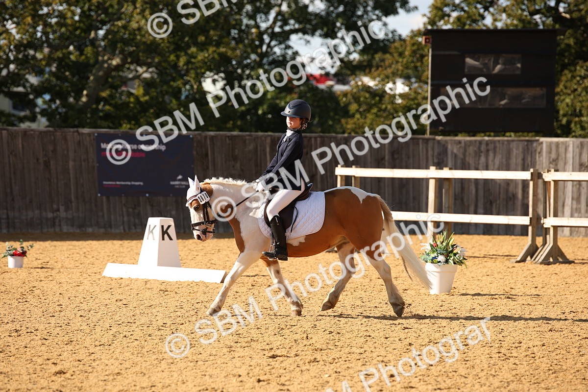 SBM_28209 - D11 - Small Tour Championship - Prelim 13