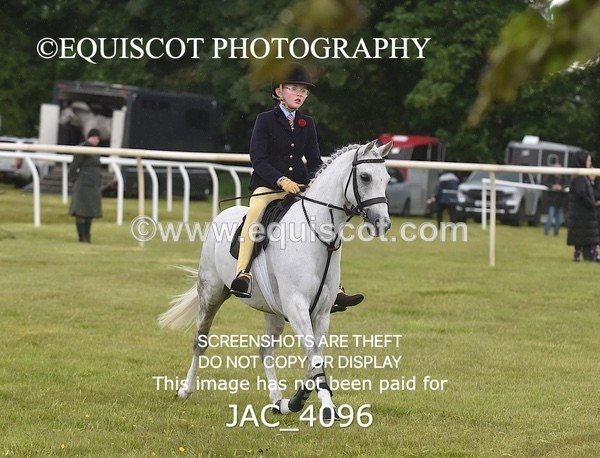 JAC_4096 - 40CM WORKING HUNTER