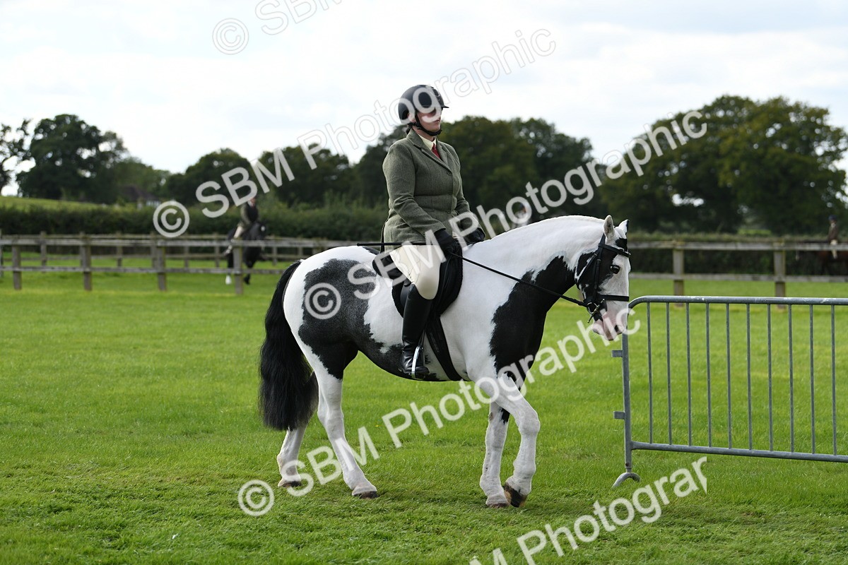 SBM_46702 - S12 - Family Horse & Pony