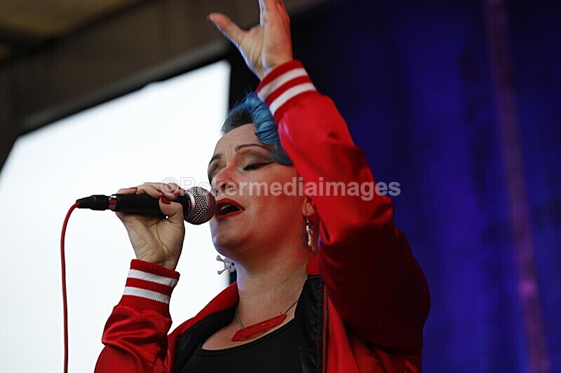  - ELMSTOCK 2019 the music makers