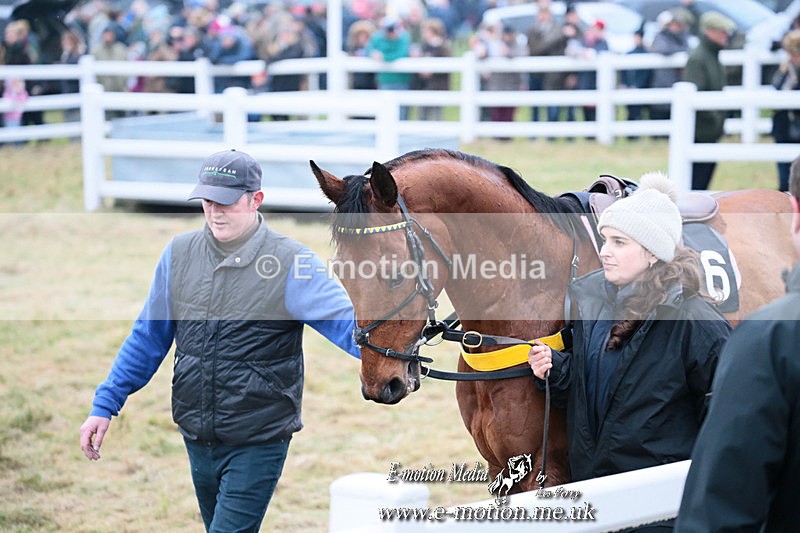 PtP 261123 313 - Hursley Hambledon Point-to-Point Larkhill 26 Nov 2023