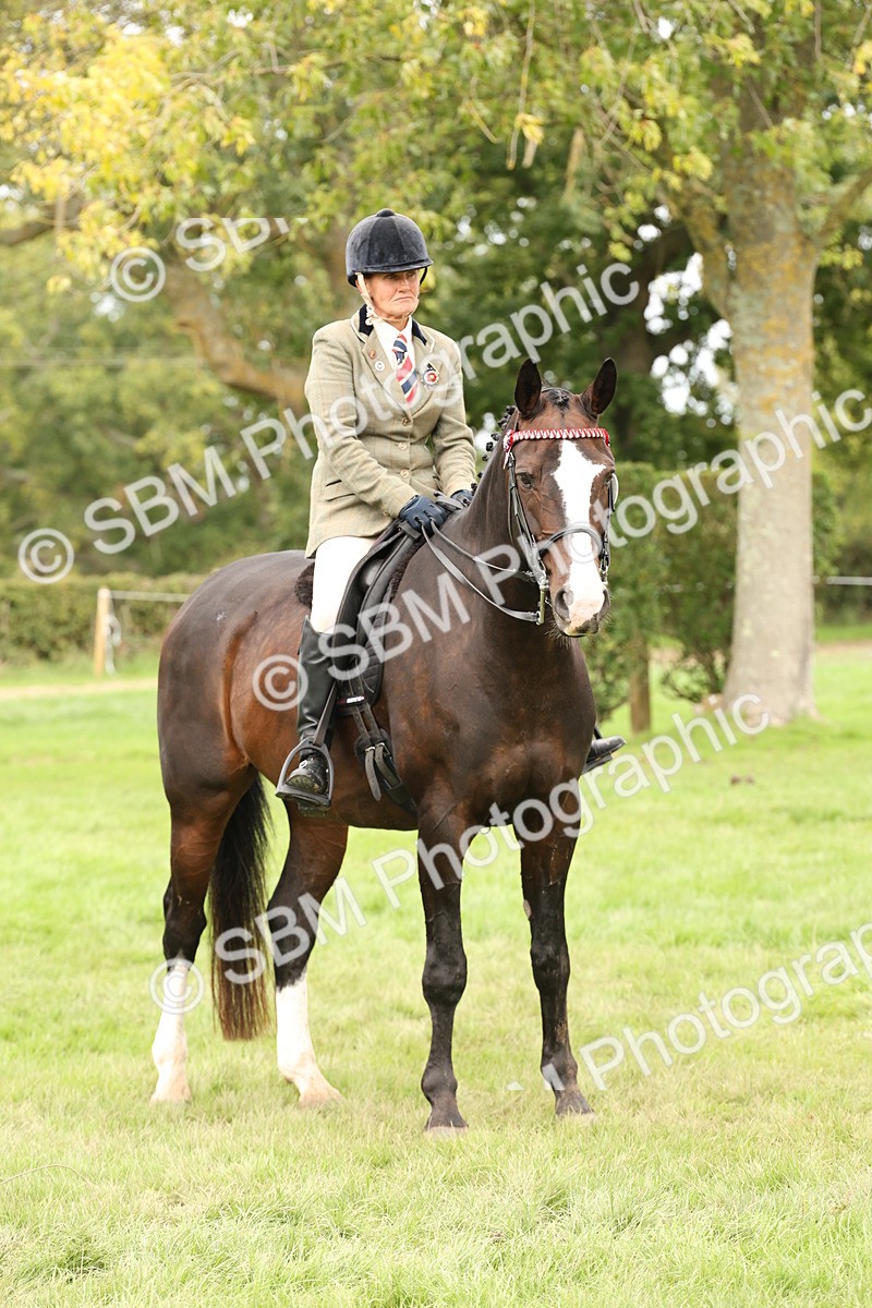 SBM_64302 - S65 - Riding Horse & Hack & Thoroughbred Ridden