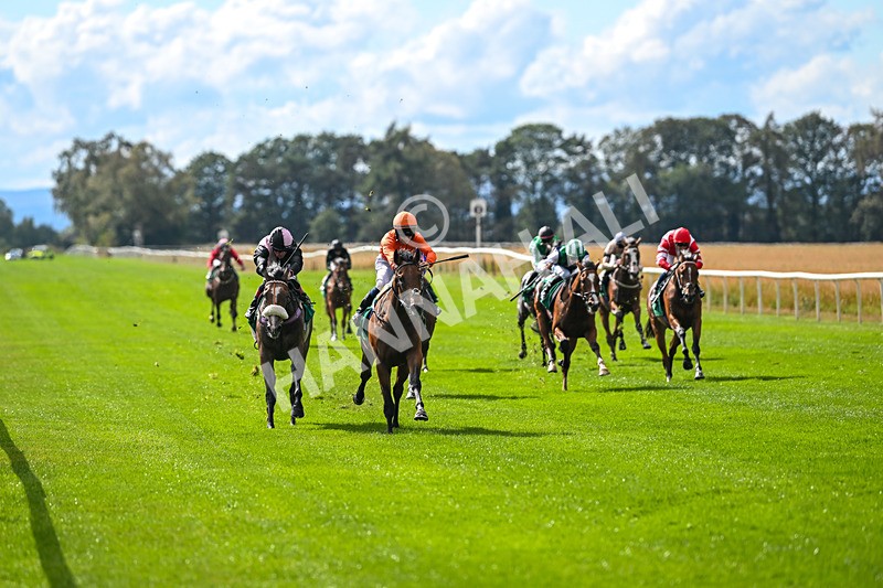 290825-Race 3-Be The Standard-8575 - Race 3