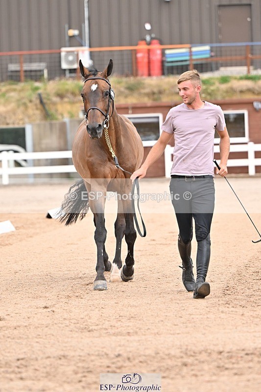 250716-150355-01605 - Trot Up 2.30 to 3.30