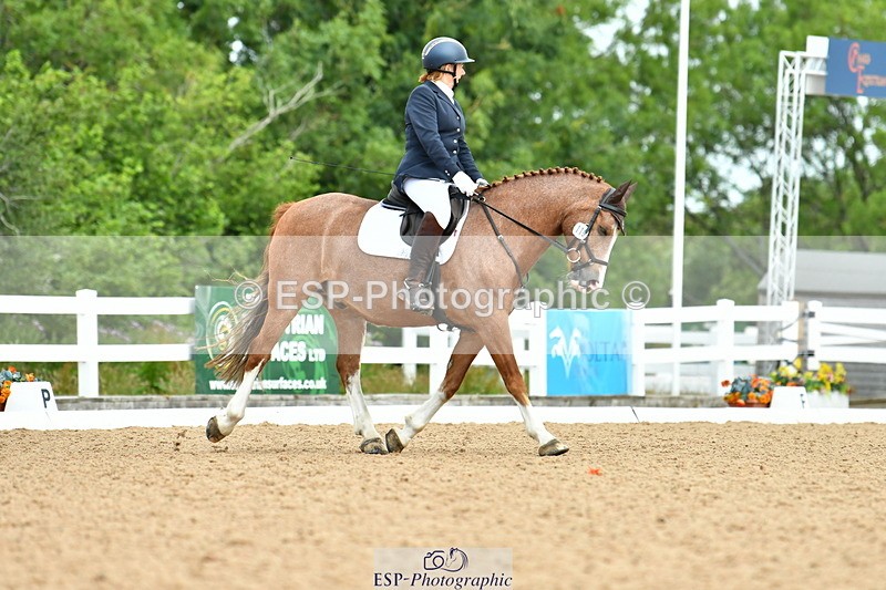 230702A-092900-08129 - Cls 23 Prelim 19