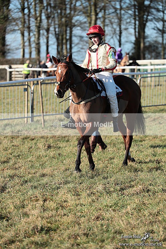 PR PtP 240126 501 - Pony Racing Horseheath 24/01/26