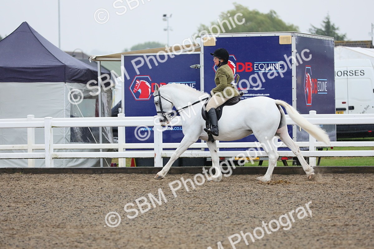 SBM_20322 - Class 803 - Ridden Combination 65+