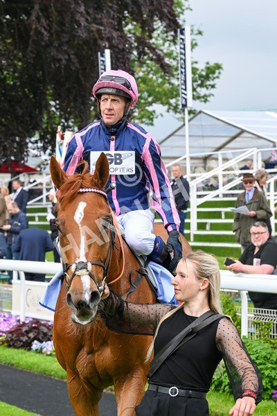 150524-Race 1-Crystal Delight-3680 - Race 1 2.15pm Sky Bet Race To The Ebor Jorvik Handicap