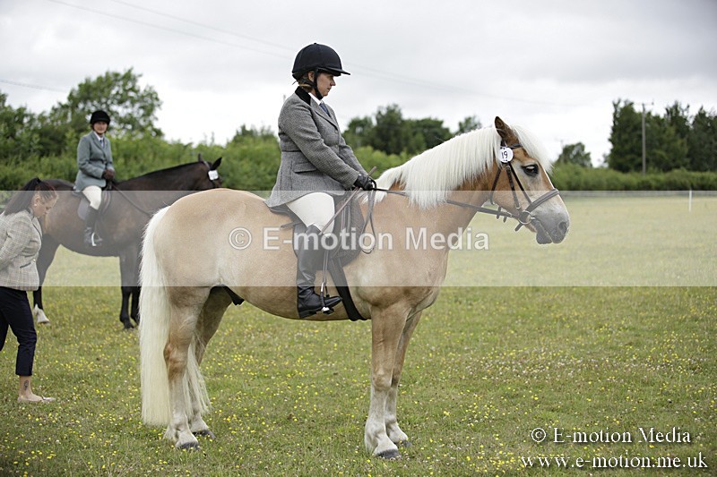 BVR160717-1544 - Ring 1 BVRC Show 16/07/17