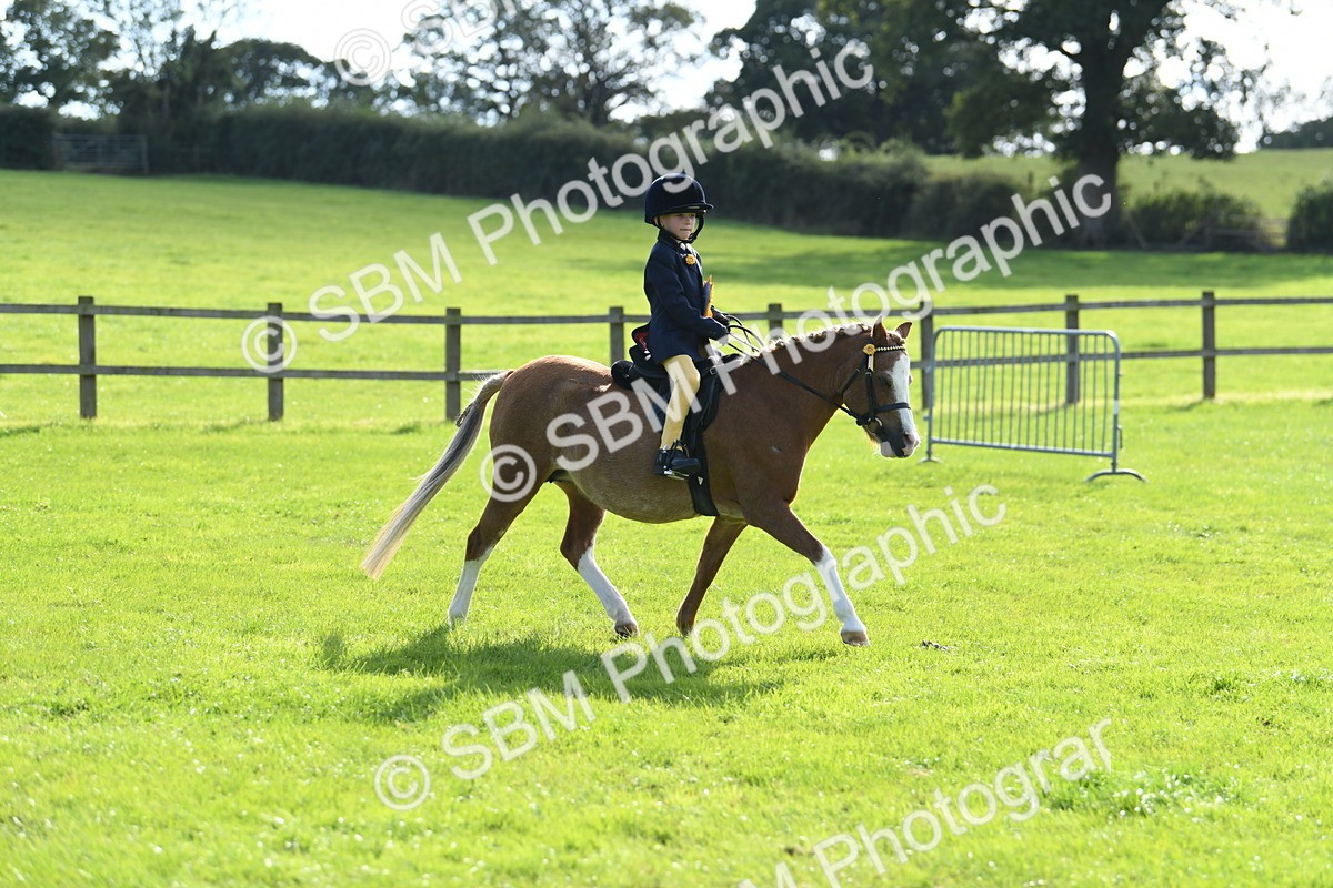 SBM_50528 - S21 - Novice & Newcomers 1st Ridden Pony