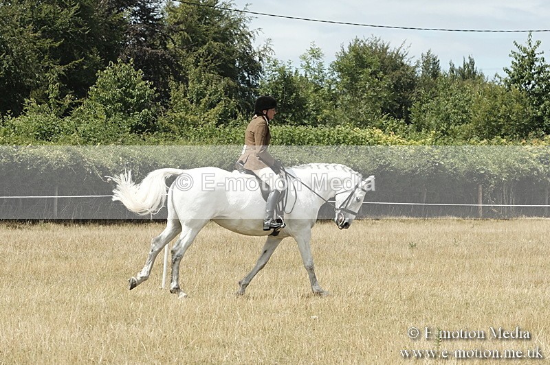 _PJP6010 - BVRC Show 2018 Ring 1