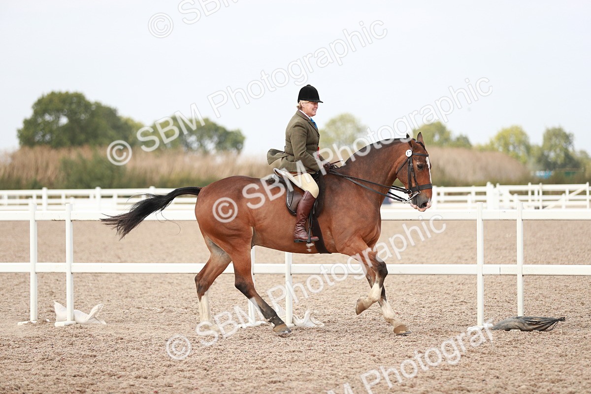 SBM_16839 - Class 214 Ridden Cob