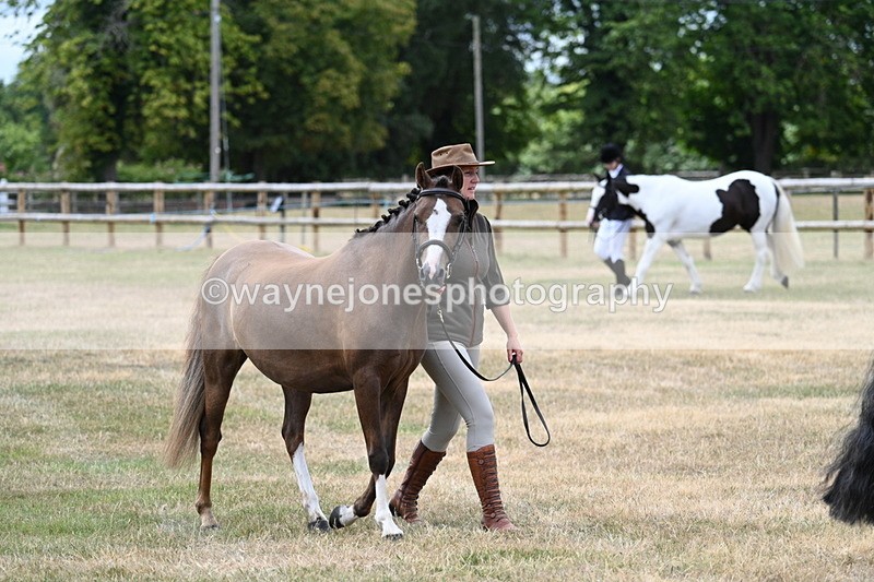 WJ7_1445 - Class 4 Prettiest Mare up to 14.2hh in hand