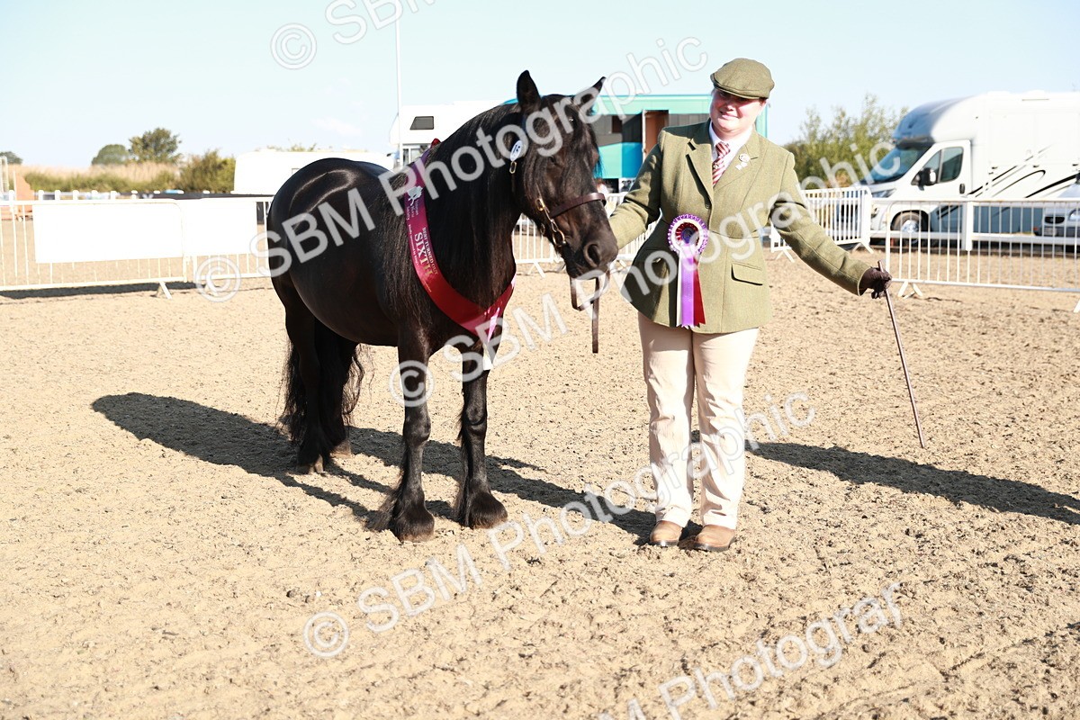 SBM_00148 - Class 40 Best Turned Out IH
