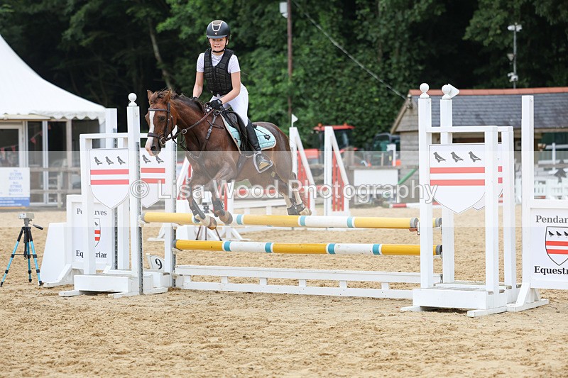 3E7A6813 - Class 13: Pony British Noise/80cm open