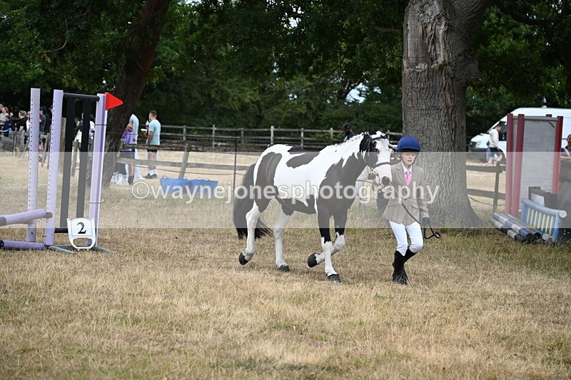 WJ6_8110 - Class 10 Coloured in Hand